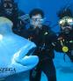 Cliente NZEGA Barreira de Corais Great Barrier Reef Australia