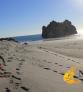 Galeria NZEGA Farewell Spit Nova Zelandia