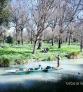 Galeria NZEGA Imagens Nova Zelandia Christchurch River