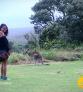 Galeria NZEGA Stradbroke Island Brisbane