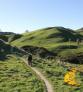 Galeria NZEGA Turismo NZ