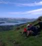 NZEGA Turismo NZ