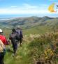 NZEGA Turismo Nova Zelandia Christchurch